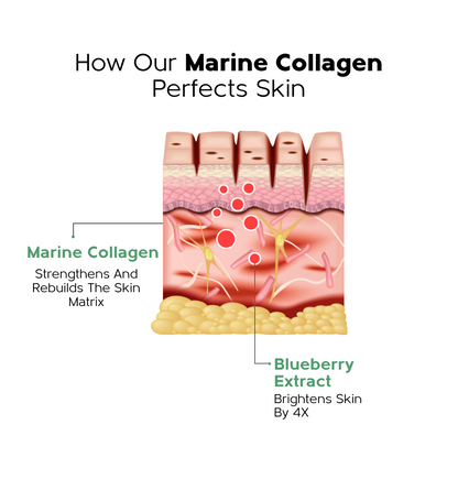 Deep Sea Derived Marine Collagen Powder