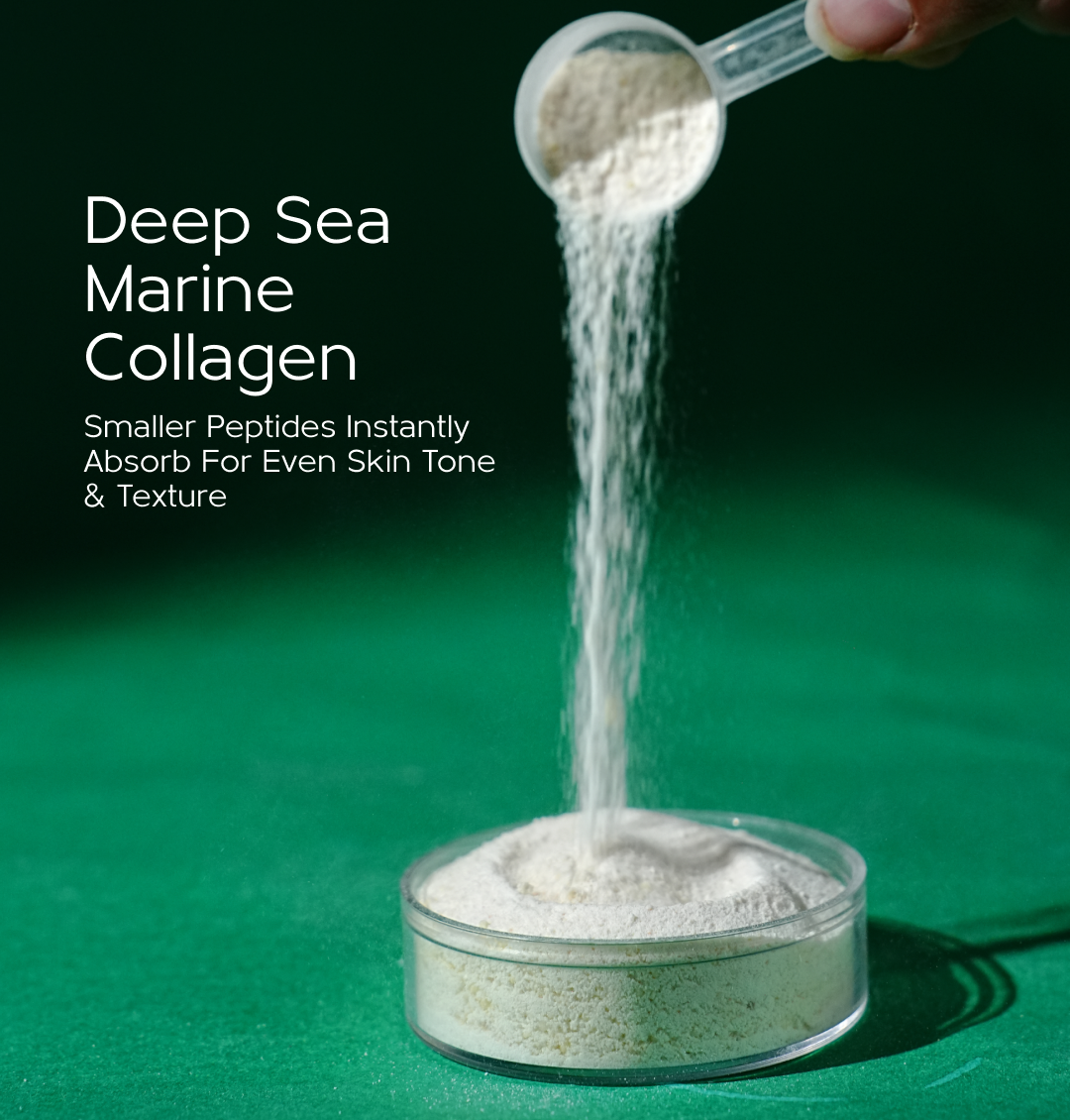 Deep Sea Derived Marine Collagen Powder