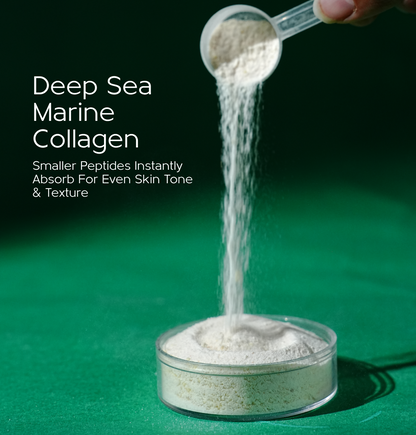 Deep Sea Derived Marine Collagen Powder